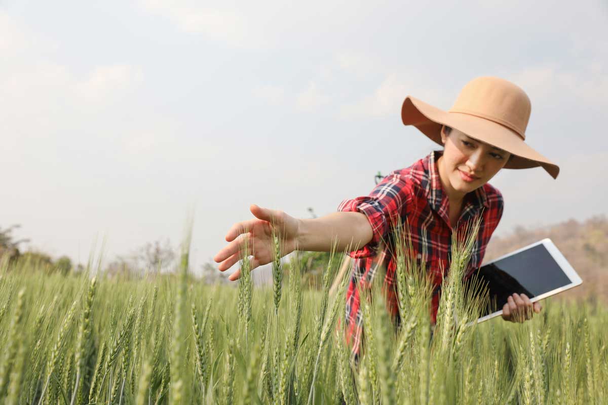 Agricultura moderna 4.0